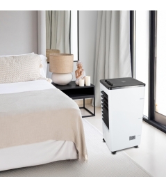 Rafraichisseur d’air 75W - 4L