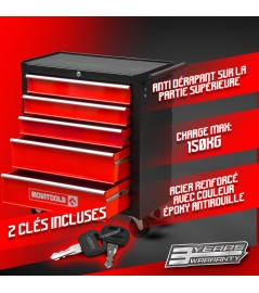 Metalen werkplaatswagen met 5 laden