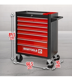 TROLLEY MET 7 LADEN + 2 ORGANIZERS