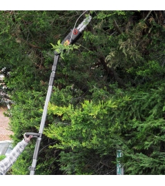 SCIE A EBRANCHER SUR PERCHE 710W OREGON