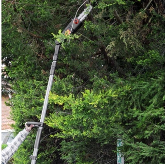 HOOGSNOIER 710W OREGON