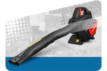 Aspirateur souffleur